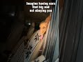 dachshund big ears#dog #dachshund #tamil #funny