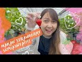 Strawberry Picking🍓 lanjut belanja di Outlet Jepang🛍