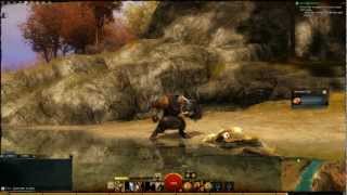 Guild Wars 2 AMD Radeon HD 7770 OC Ghz Edition I 1920x1080 I Very High settings