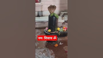 शंकर जी का उल्टा नाम जपे नमः शिवाय ॐ@@##Pandit Pradeep Mishra