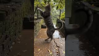 Day, Calm Vibes, And Cute Steps