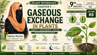 How Do Plants Exchange Gases? Stomata Gaseous Exchange 9Th Class Biology