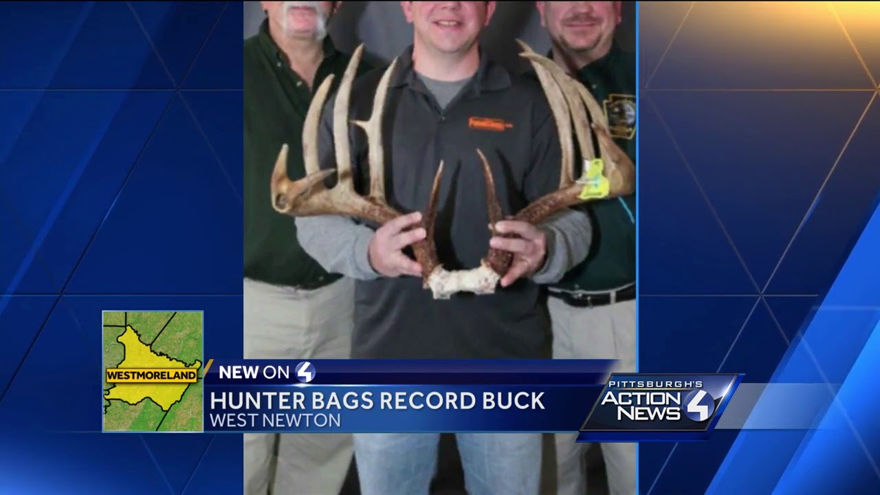 Westmoreland County hunter's big buck is a Pennsylvania record-breaker
