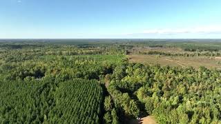 28.17 Acres for sale in Brunswick County Virginia!