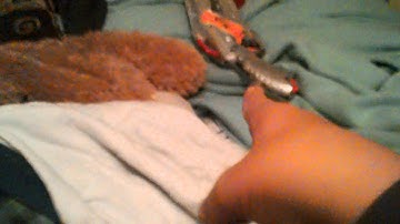 Nerf  vagabond internals