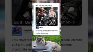 When Your 50 Budget Gets A Chaotic Upgrade