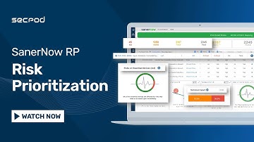 SanerNow Risk Prioritization
