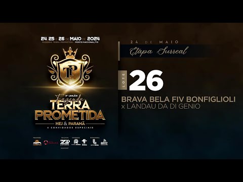 Lote 26   Brava Bela FIV Bonfiglioli   BONF 1108 zap 1