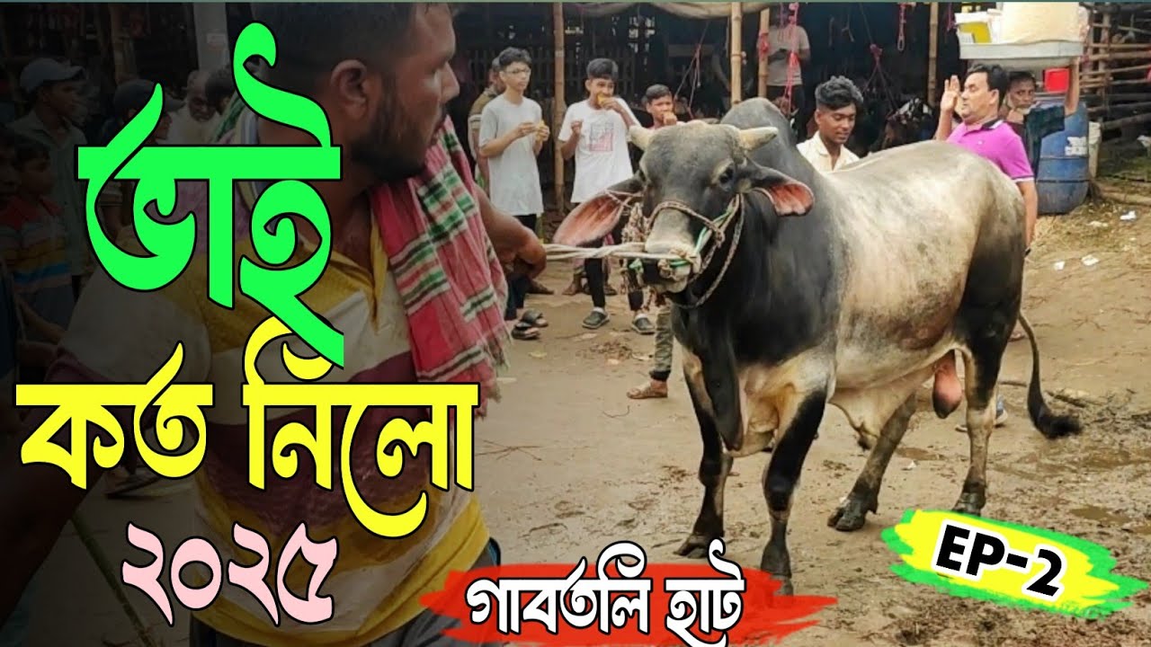 Bhai Koto Nilo 2025🐄 Gabtoli Gorur Haat 2025 | Qurbani Cow Price 2025 today | EP-2