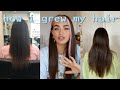 HOW I GREW LONG HEALTHY HAIR & TIPS FOR THICKER HAIR !