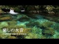 4K 自然環境動画 癒しの水音 自然音 伏流水の円原川