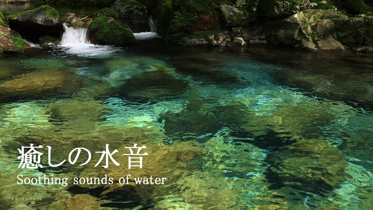 4K  自然環境動画　癒しの水音　自然音　伏流水の円原川