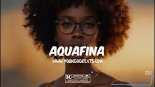'AQUAFINA' - Afrobeat Instrumental 2024 x Ayra Starr x Omah Lay x Afro Pop Type Beat