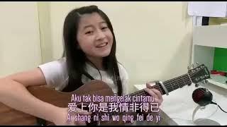 Qing Fei De Yi ost meteor garden cover Gail S