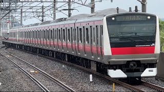 E233系5000番台ｹﾖ554編成＋ｹﾖF54編成　京葉線快速東京行きが葛西臨海公園駅を高速通過するシーン