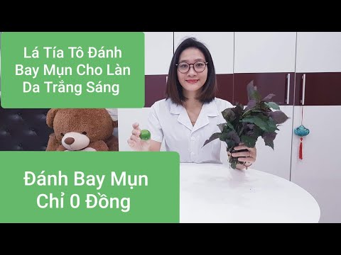 Làn Da Của Bạn Sẽ Hết Mụn Sáng Bóng Nếu Xông, Đắp Lá Tía Tô/ Trị Mụn Bằng Lá Tía Tô.