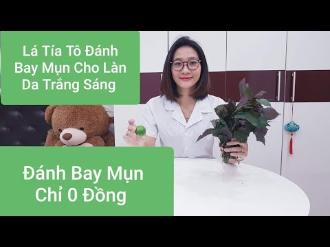 Làn Da Của Bạn Sẽ Hết Mụn Sáng Bóng Nếu Xông,  Đắp Lá Tía Tô/ Trị Mụn Bằng Lá Tía Tô.