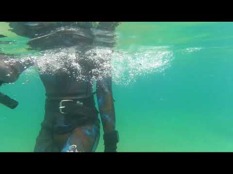 PADI Advanced Freediver