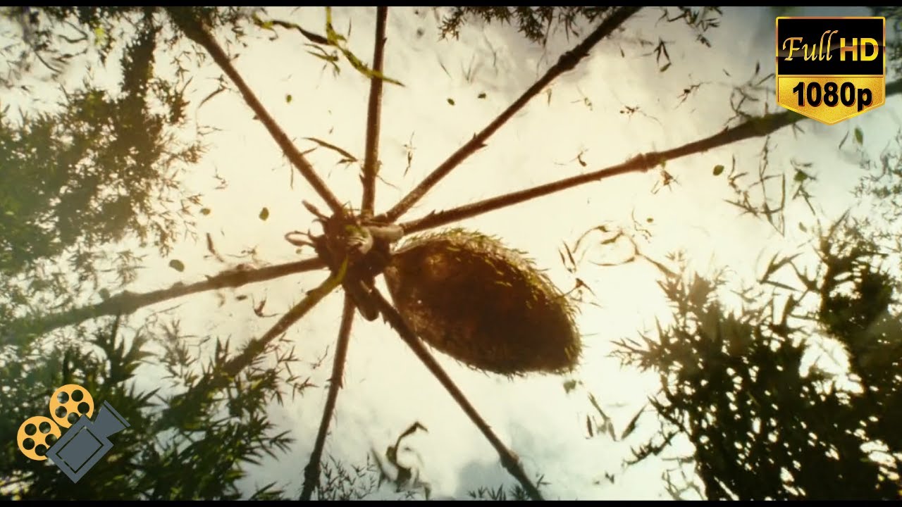 Giant Spider Attack Scene Kong Skull Island (2017) [1080p 60fps HD] YouTube