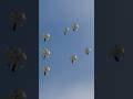 How This US Smart Bomb Scans the Ground Before Striking