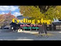 【京都Vlog】秋の京都、人の少ない北へ。電動アシスト自転車で瑠璃光院ー大原三千院まで紅葉サイクリング｜ADO Air Carbon |