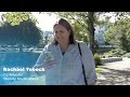 South Island IT Job Market Update  - March 2026