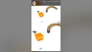 Tiny robots inspired by ants, developed by Korean scientists