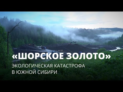 «Шорское золото». Экологическая катастрофа в Южной Сибири. Фильм Вячеслава Кречетова