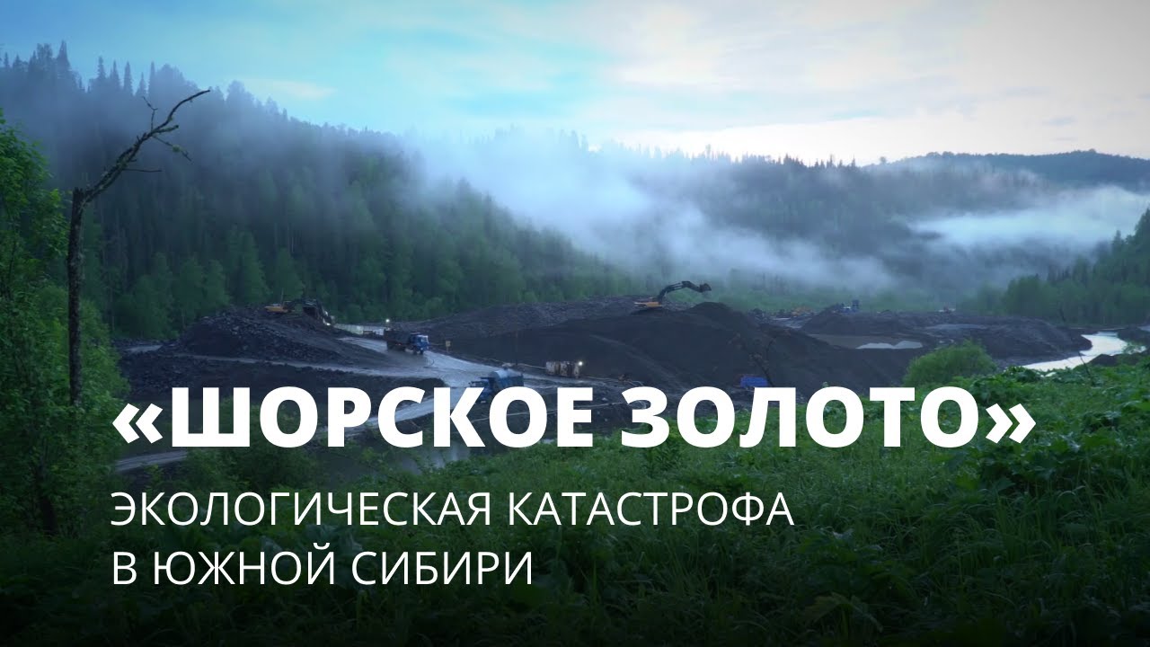 «Шорское золото». Экологическая катастрофа в Южной Сибири. Фильм Вячеслава Кречетова