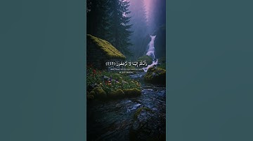 (وَقُلْ رَبِّ اغْفِرْ وَارْحَمْ وَأَنْتَ خَيْرُ الرَّاحِمِينَ) #سورة_المؤمنون #محمد_اللحيدان