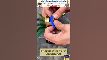 C16: Nắp Cống ngăn mùi hôi và côn trùng vô cùng hiệu quả