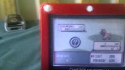 Poemon emerald 1st Ever Shiny poochyna fail