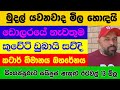 ඩොලරයේ මිල|kuwait exchange rate¢kuwait dinar rate|කුවේට් ඩිනාර් එකක මිල |exchange rate |dollar rate