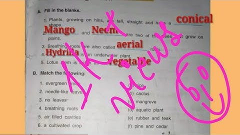 Dav class-4 Science Ch-4 Plants Around Us Exercises