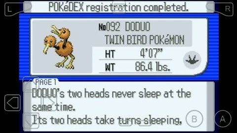 092: Where to Find Doduo in Pokemon Ruby!