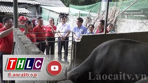 Hỗ trợ sinh kế - Động lực thoát nghèo cho đồng bào dân tộc thiểu số | THLC
