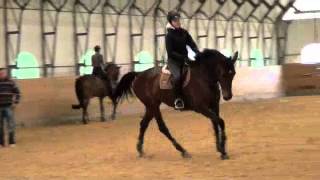 Tara Justly - Flat lesson in Europe