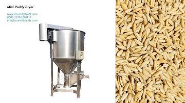 Small Grain Dryer Machine for Rice Mill Plant - Co-Grain Rice Mill #paddydryer #graindryer