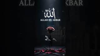 Hasib Rabbi #shorts #trending #youtubeshorts #youtuber #youtube #ytshorts #reels #love #beautiful