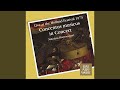 Miniature de la vidéo de la chanson Concerto In G Minor, Rv 104 “La Notte”: V. Allegro