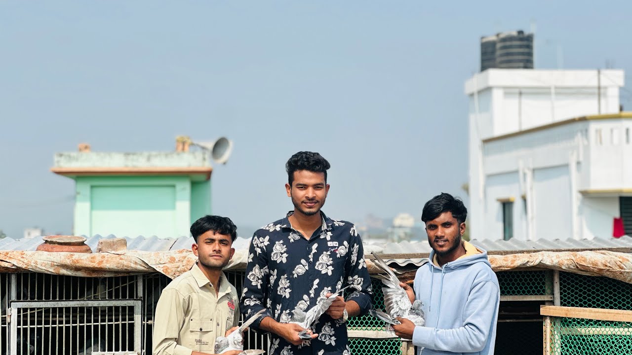 জিহাদ ভায়ের কবুতর 🕊️🕊️