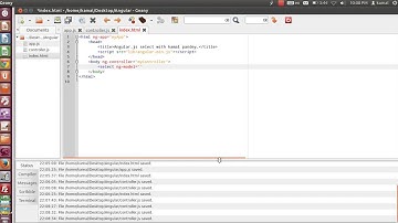Angular.js select illustration