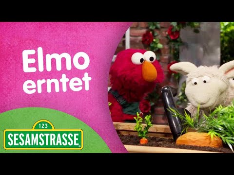 Folge 2892: Elmo erntet | Neue Folgen | Sesamstraße