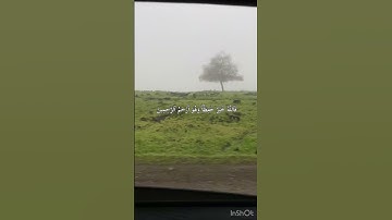 سورة يوسف آية ٦٤ بتلاوة القارئ الشيخ سعد الغامدي💚. #القرأن_الكريم#سورة_يوسف