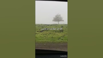سورة يوسف آية ٦٤ بتلاوة القارئ الشيخ سعد الغامدي💚. #القرأن_الكريم#سورة_يوسف