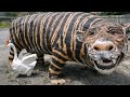 videos that show the tiger in me