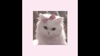 Pink   white ( sped up/ nightcore)