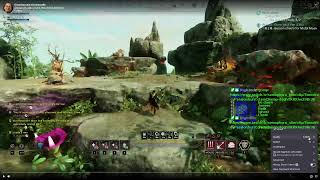 New World gaming