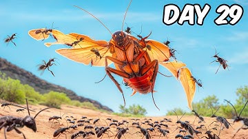 100 Jumping Ants vs Flying Prey