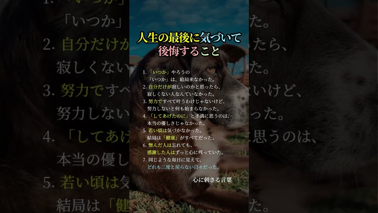 人生の最後に気づいて後悔すること #人生 #名言 #人生哲学